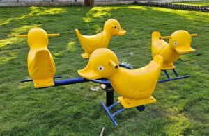 Duck Marry Go Round